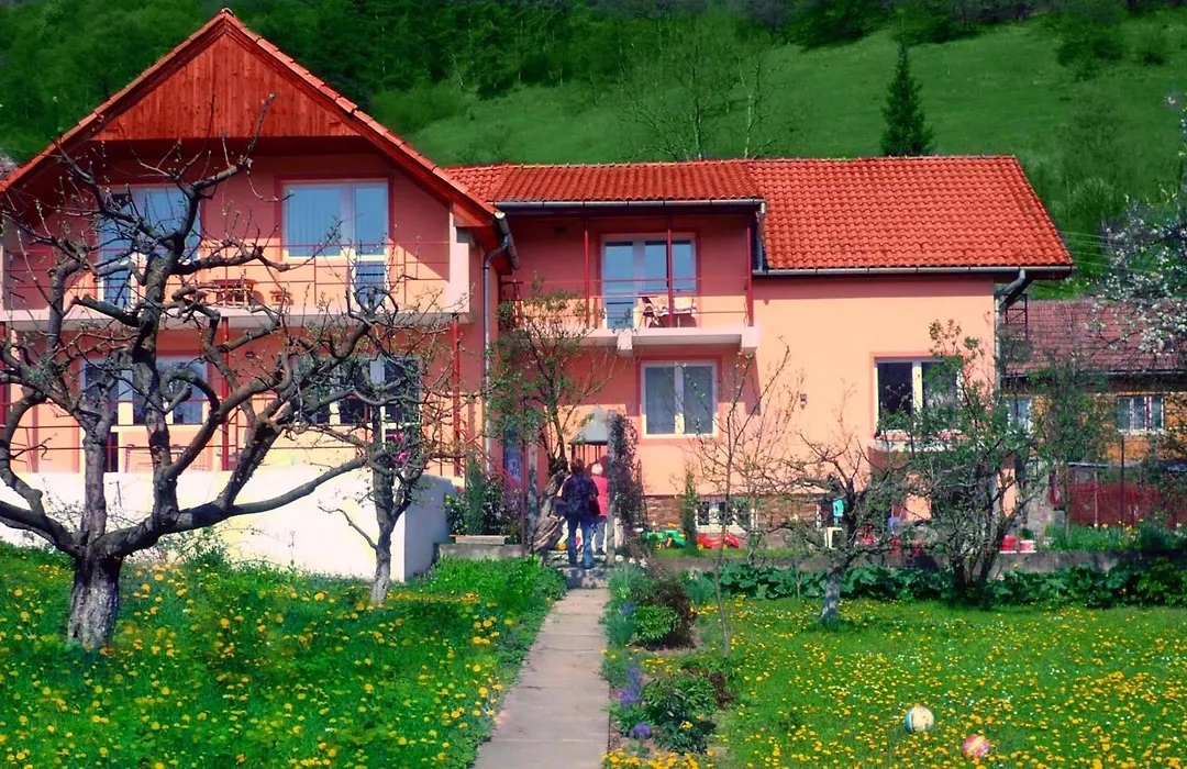 Pensiunea Sighisoara-1
