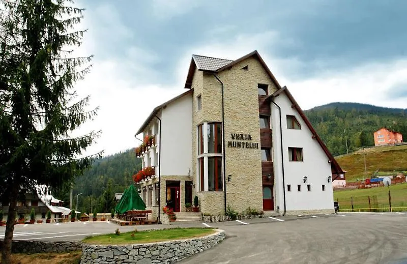Pensiunea Vraja Muntelui-1