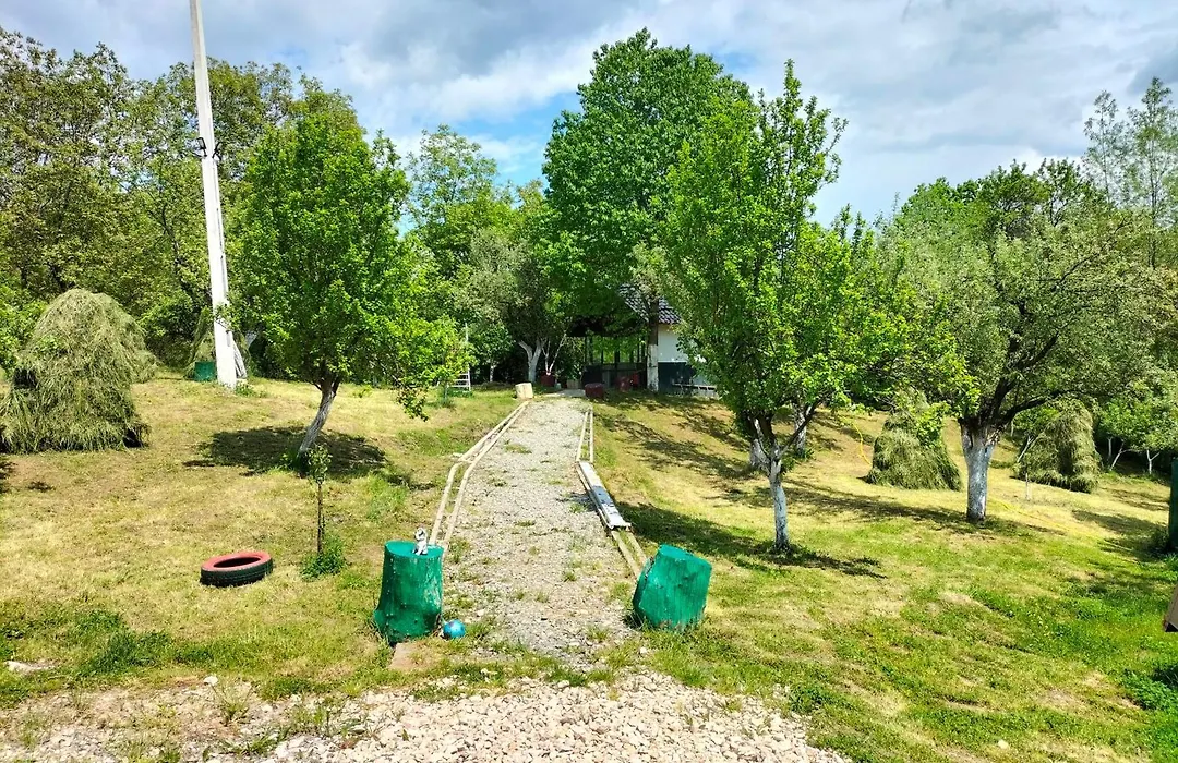 Conacul Doamnei Nucșoara-1