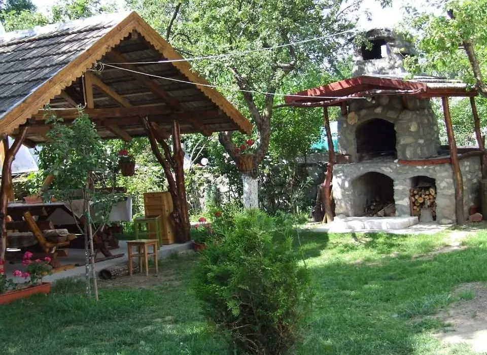 Zori de zi-1