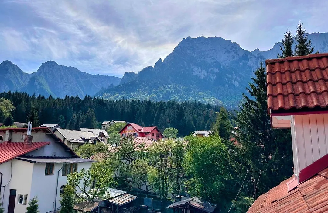 Valea Albă View - SELF CHECK-IN-1