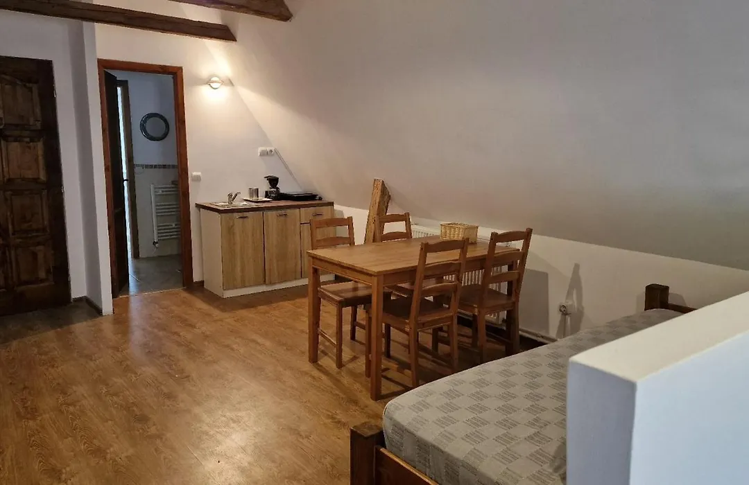 Studio Rasnov Apartaments-1