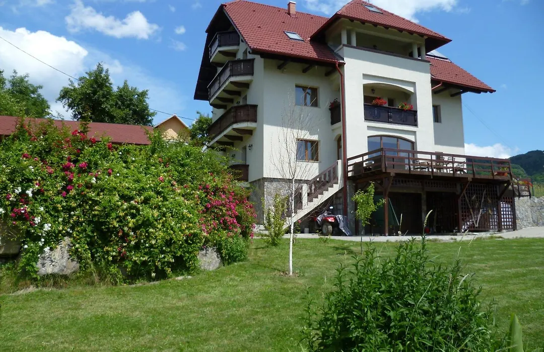 Pension Irina-1