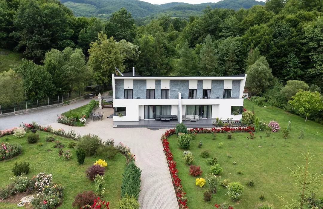 Casa Nagy-1