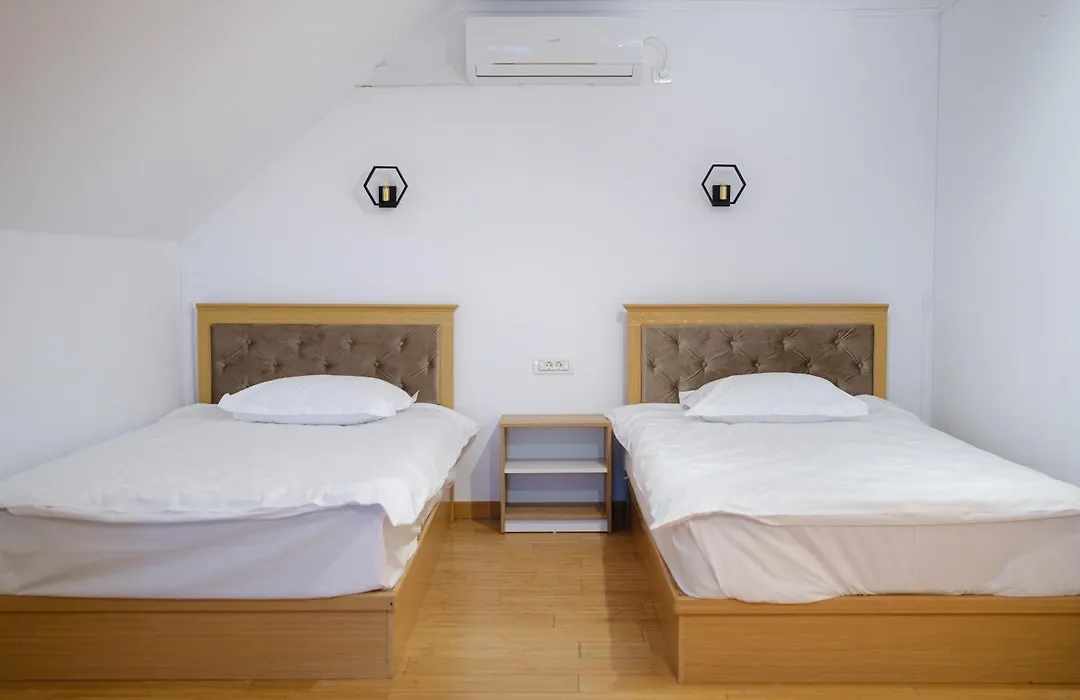 Hotel Parc Geoagiu Bai-1