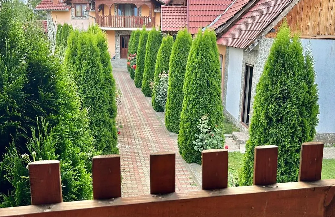 Pensiunea Casa Nina-1