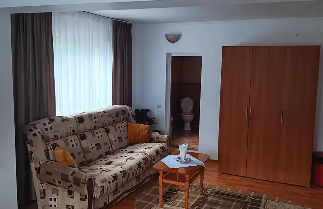 Vila Bogdan-1