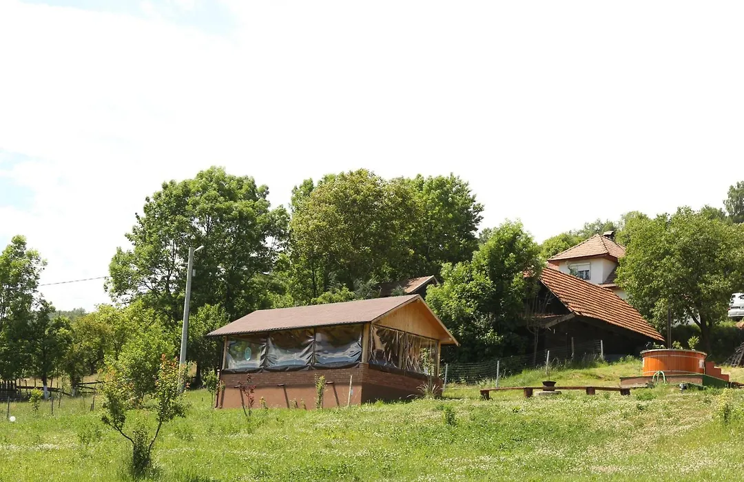 Pensiunea Podul Simonului-1