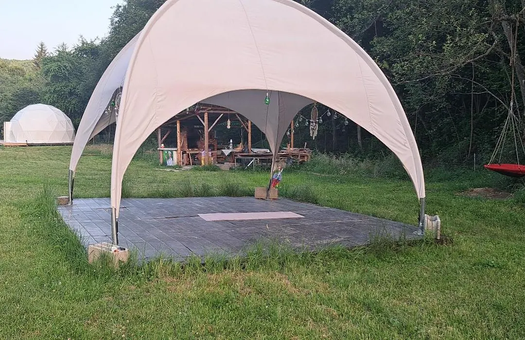 Forest Glamping-1