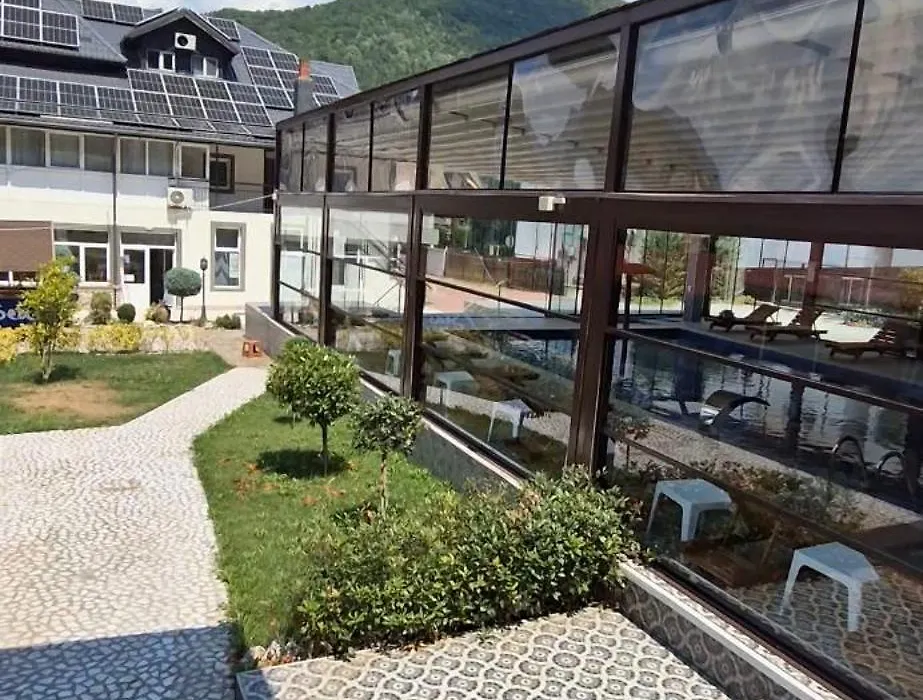 Vila Crinilor-1