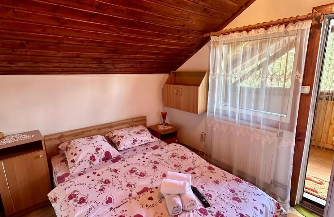 Casa de Vacanta Catrinel-1