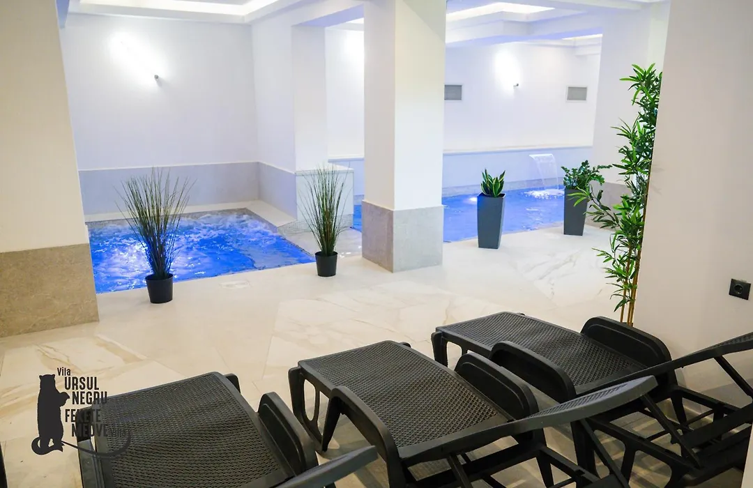 Vila Ursul Negru-1
