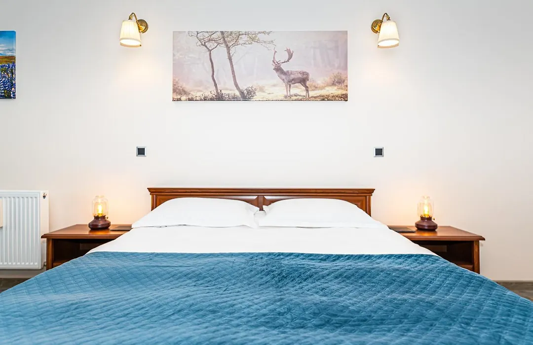 Joy Studio - Poiana Brasov - Silver Resort-1