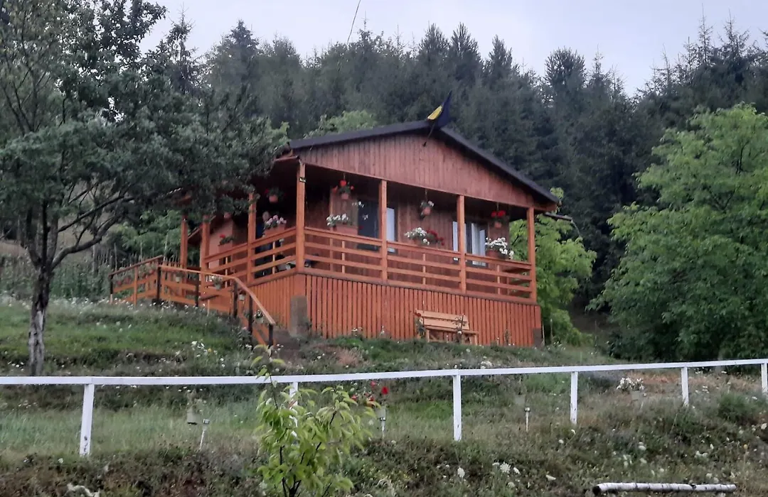 Casa Geanina-1