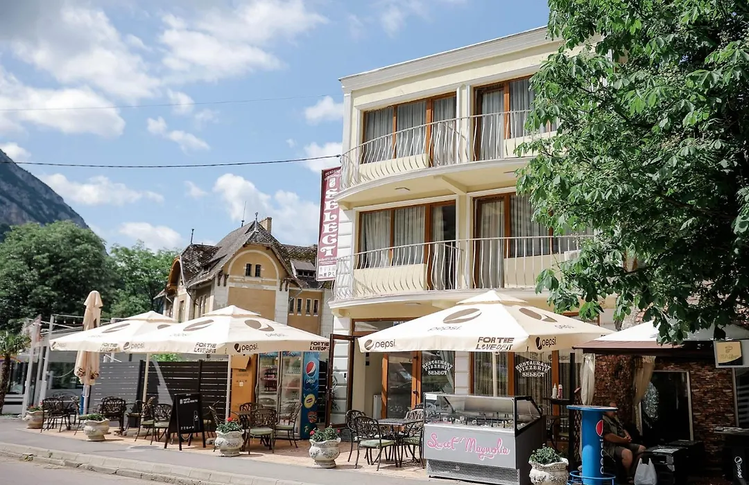 Pensiune Restaurant Select-1