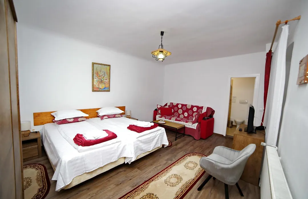 Guesthouse Casa Baciu-1