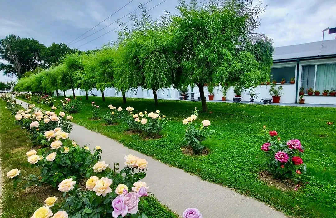 Royal Park Complex-1