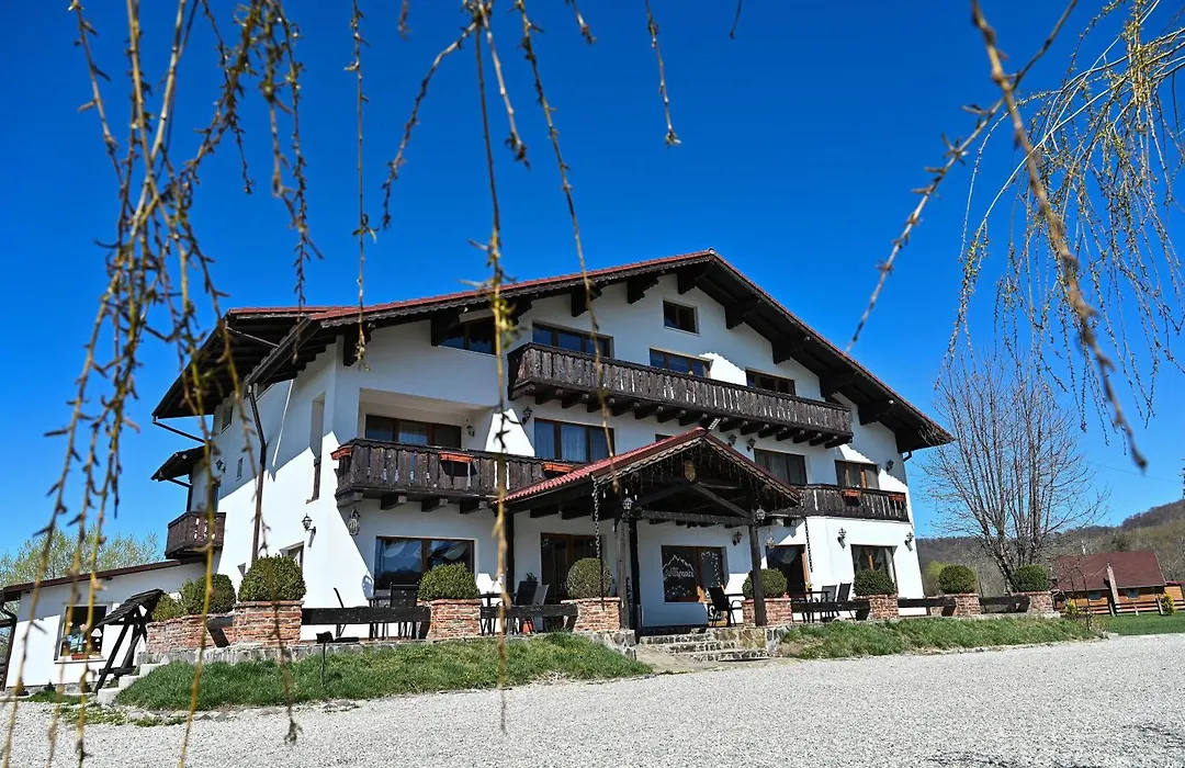 Pensiunea Bergtal-1