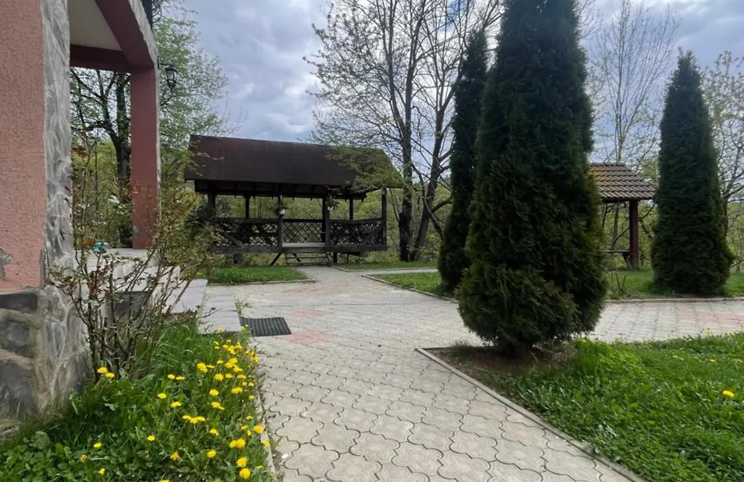 Pensiunea 7 Brazi-1
