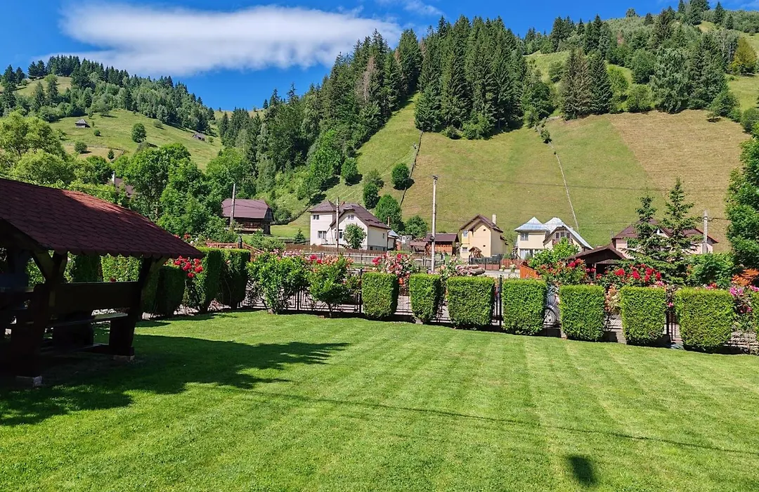 Valea Dorului Guest House-1