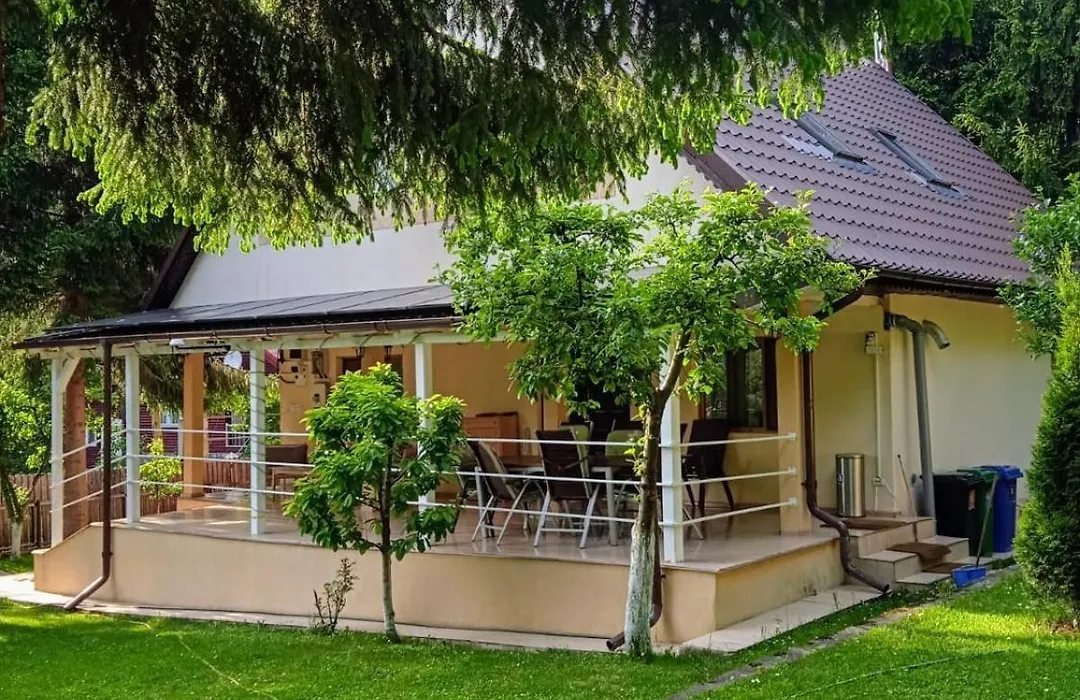 Casa Aris Lepsa Vrancea-1