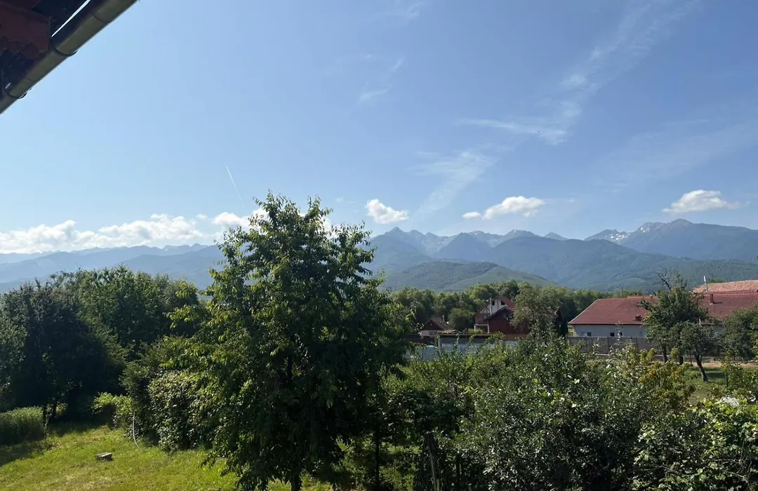 PENSIUNEA LEIA Transfăgărășan-1