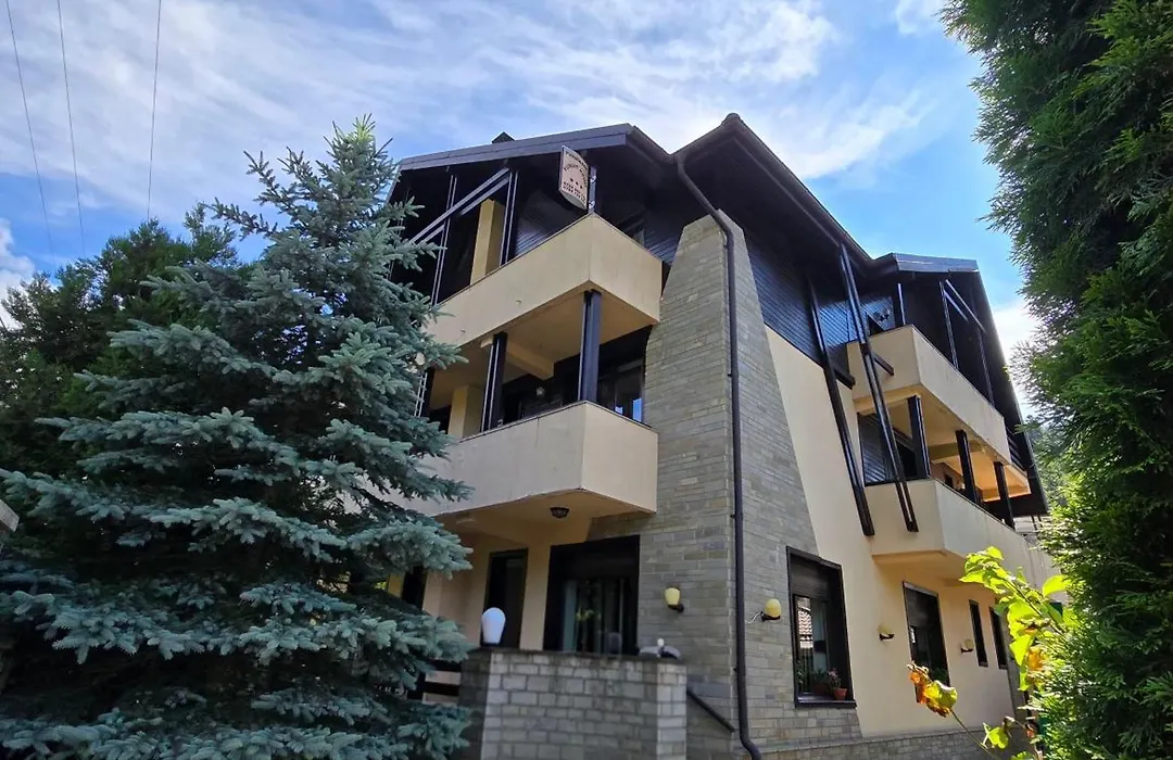 Pensiunea Public House-1
