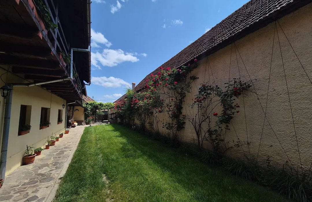Pensiunea Leia Cârțișoara-1