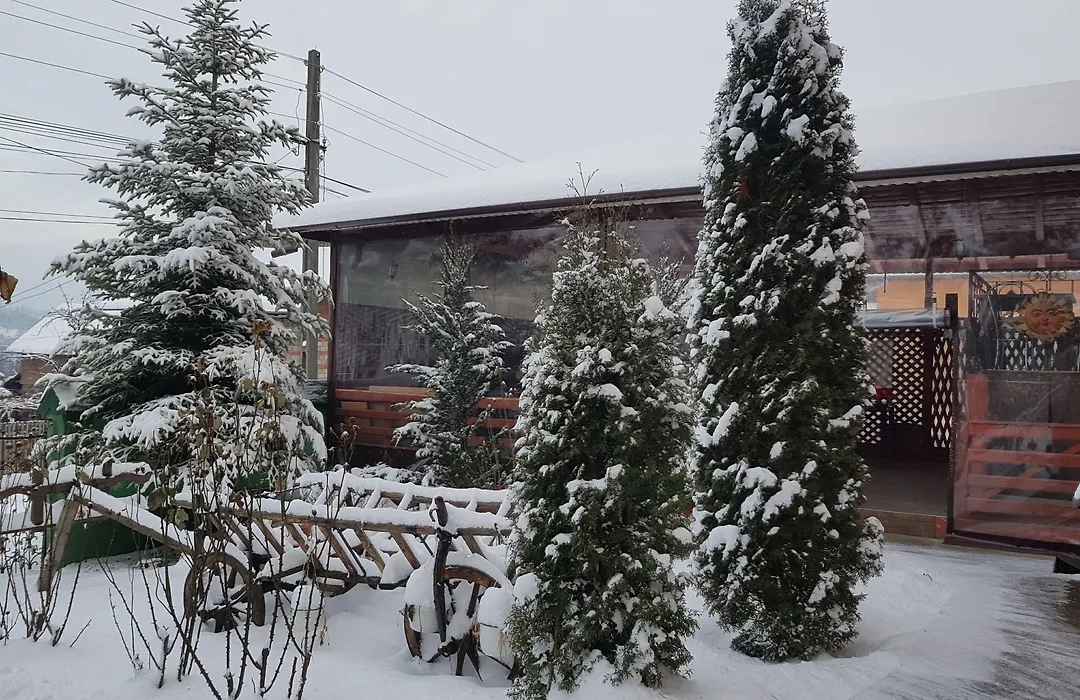 Pensiunea Agroturistică Piscul Soarelui-1