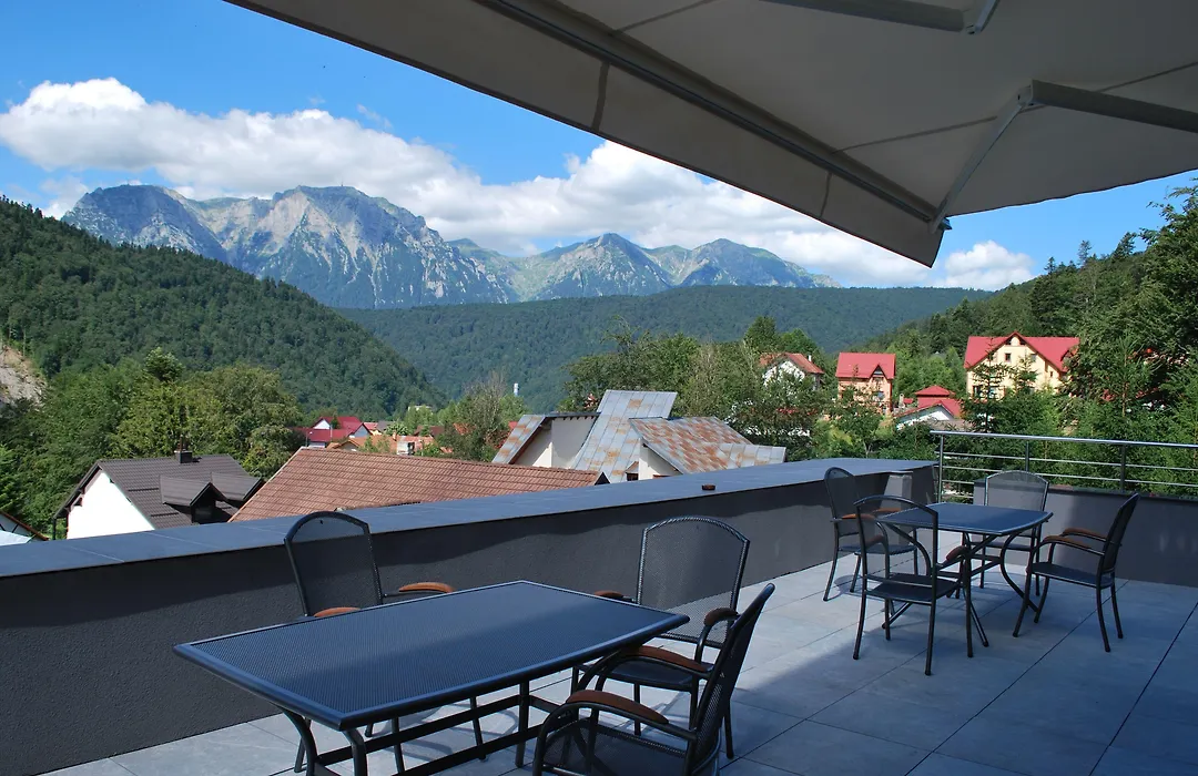 Hotel Carpat Inn-1
