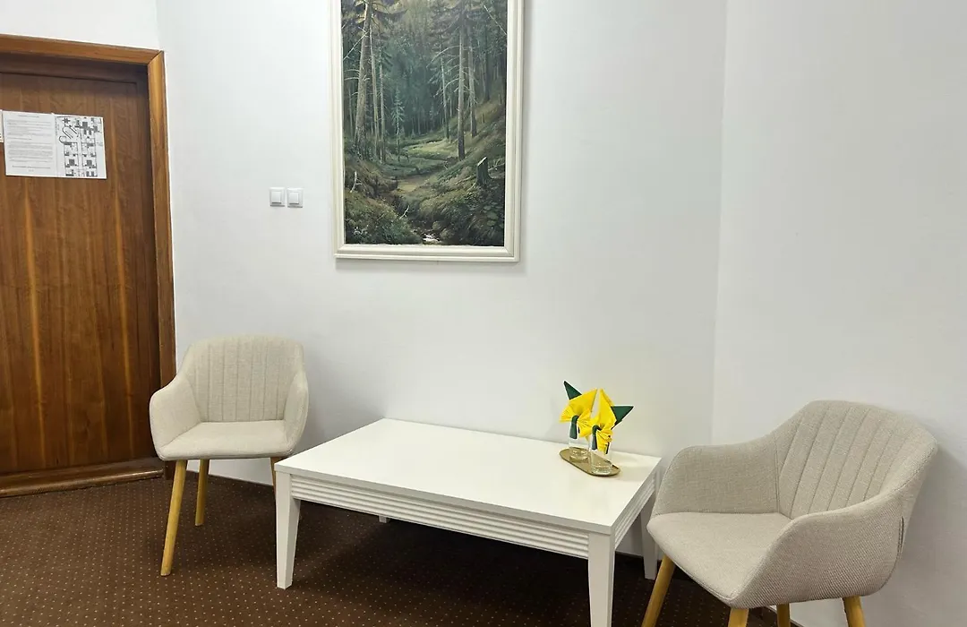 HOTEL CORA Bistrita-1
