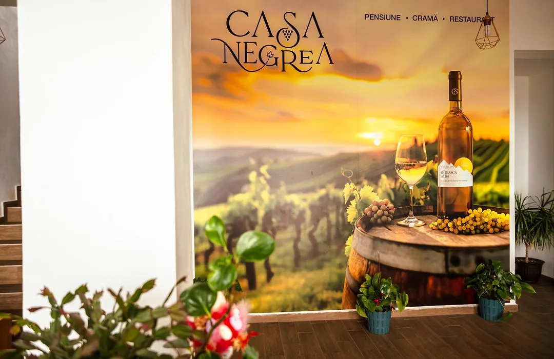 Pensiunea Casa Negrea-1