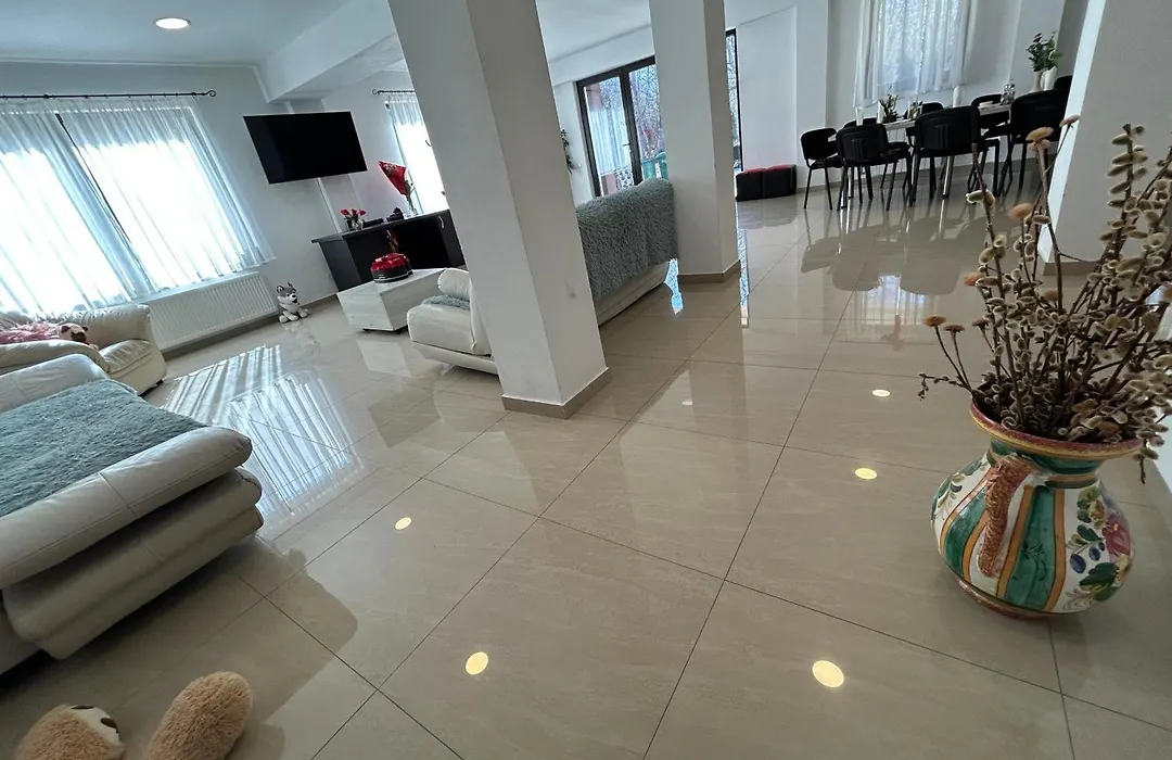 Vila Ema Râşnov-1