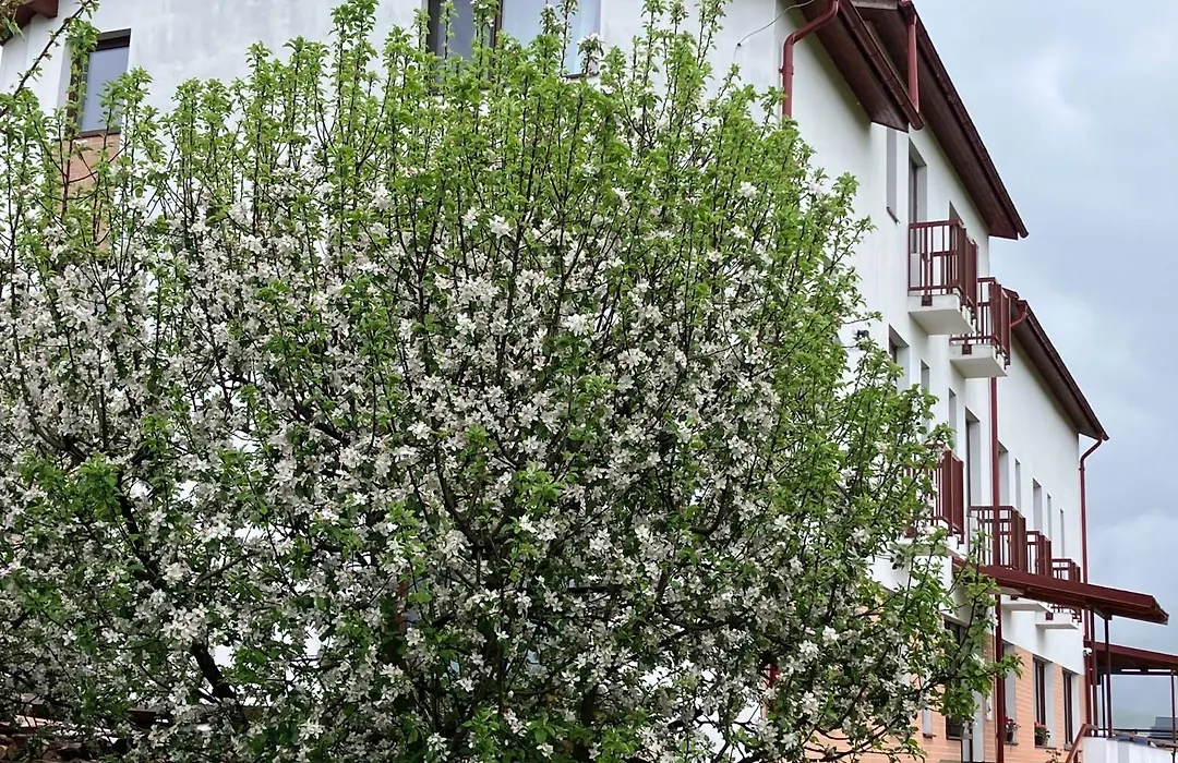 Pensiunea Cetatea Craiului-1