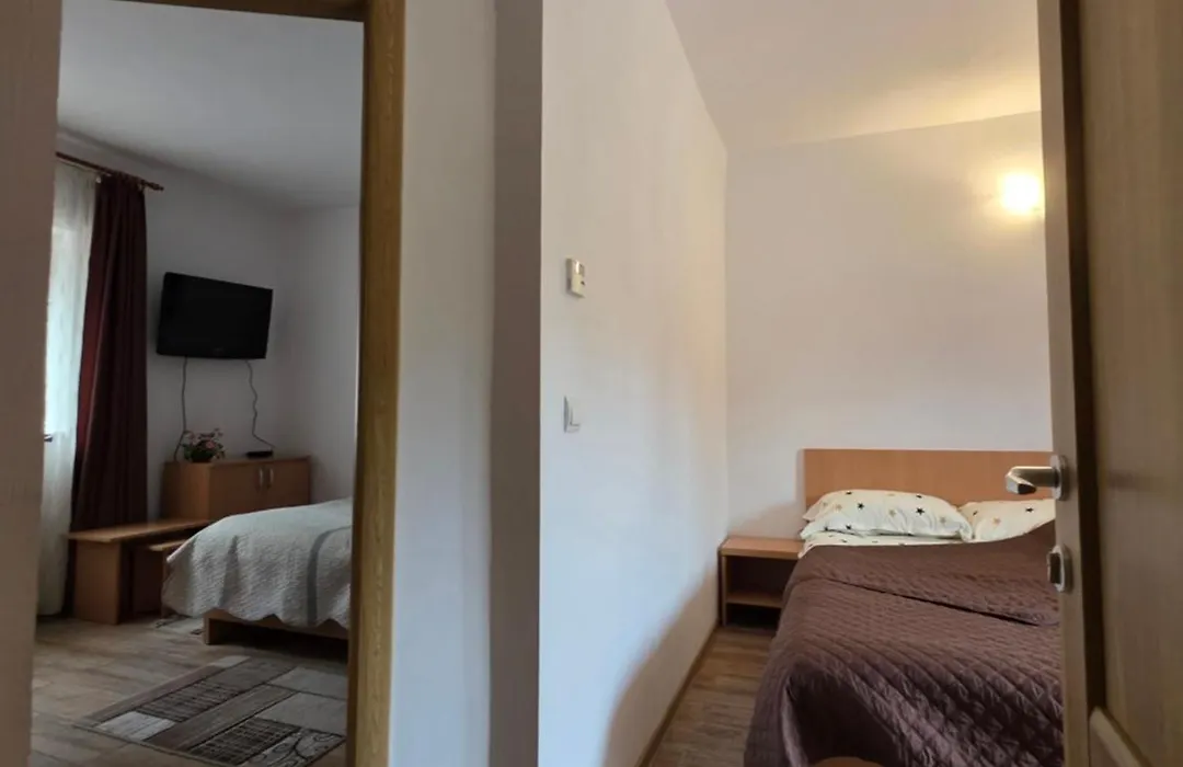 Vidra Parc-1