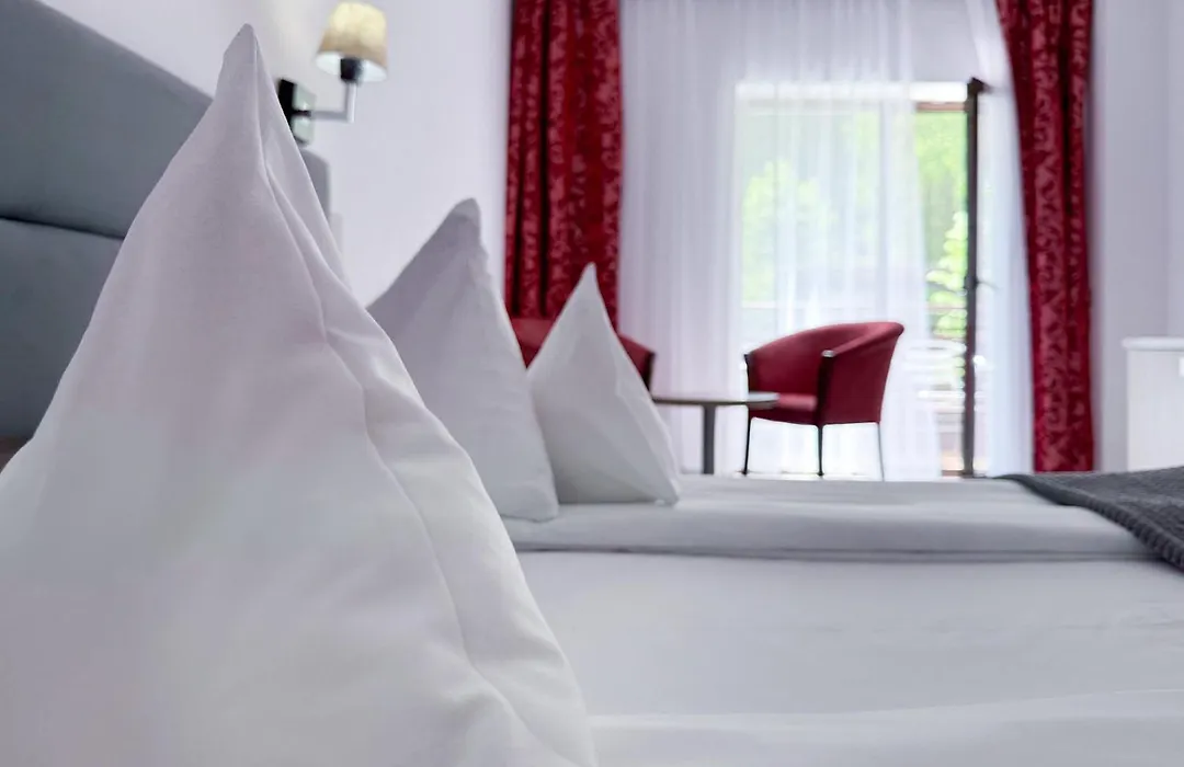 Hotel Tisa-1