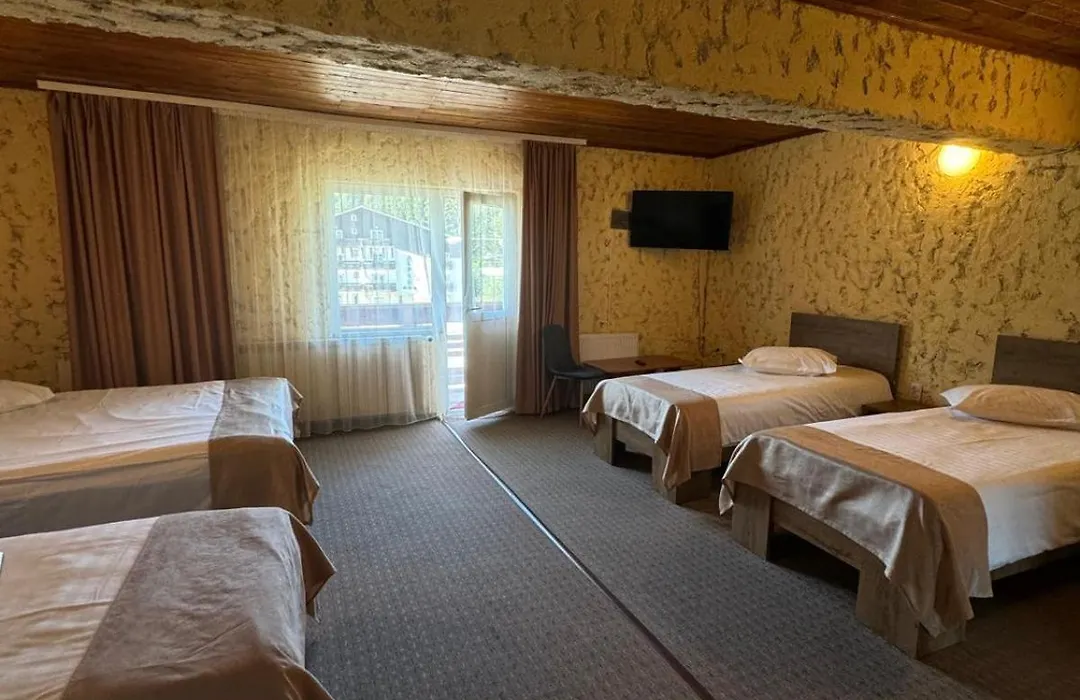 Cabana Fulg De Nea Predeal-1