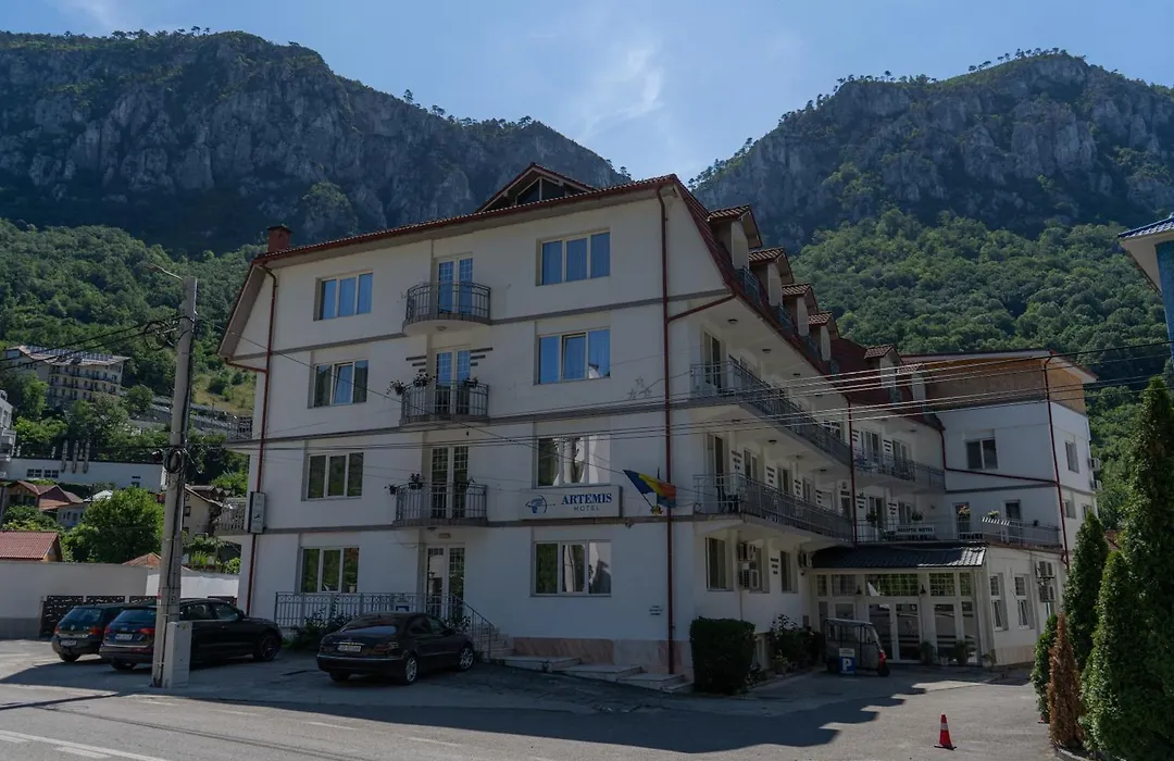 Hotel Artemis-1