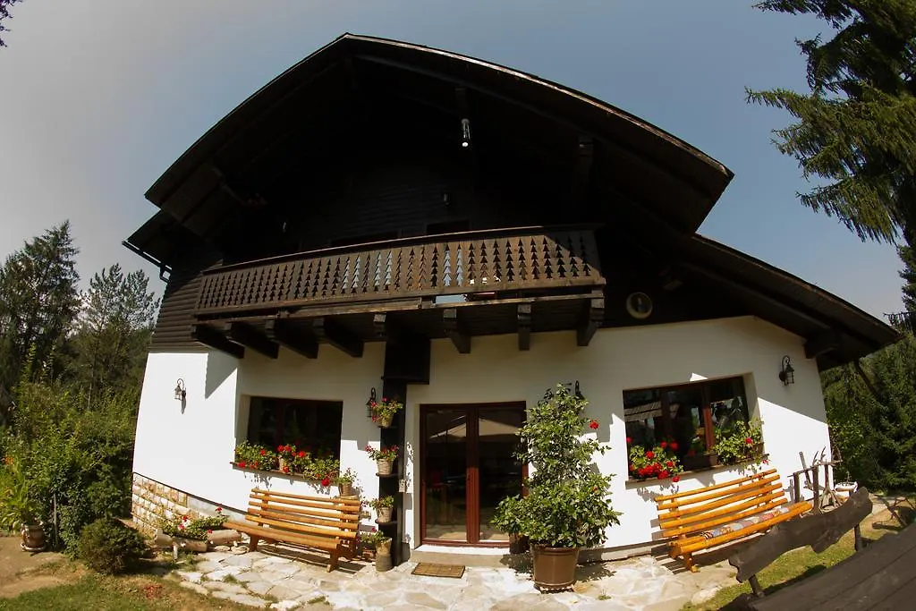 Pension Cabana Ionela-1