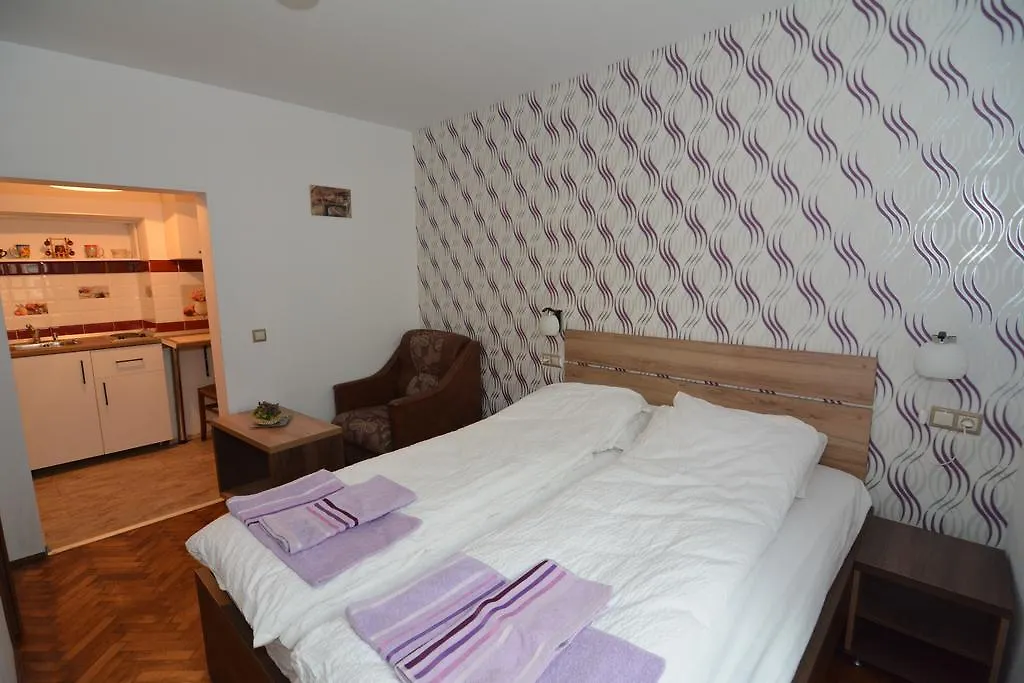 Apartament Supercentral Sibiu-1