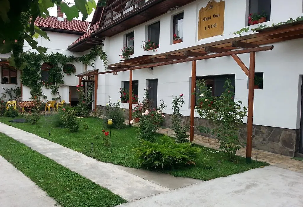 Casa Gross-1