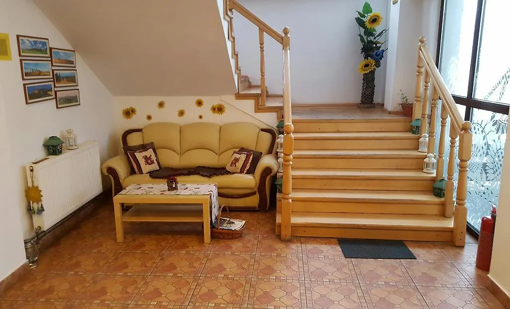 Floarea Soarelui-1