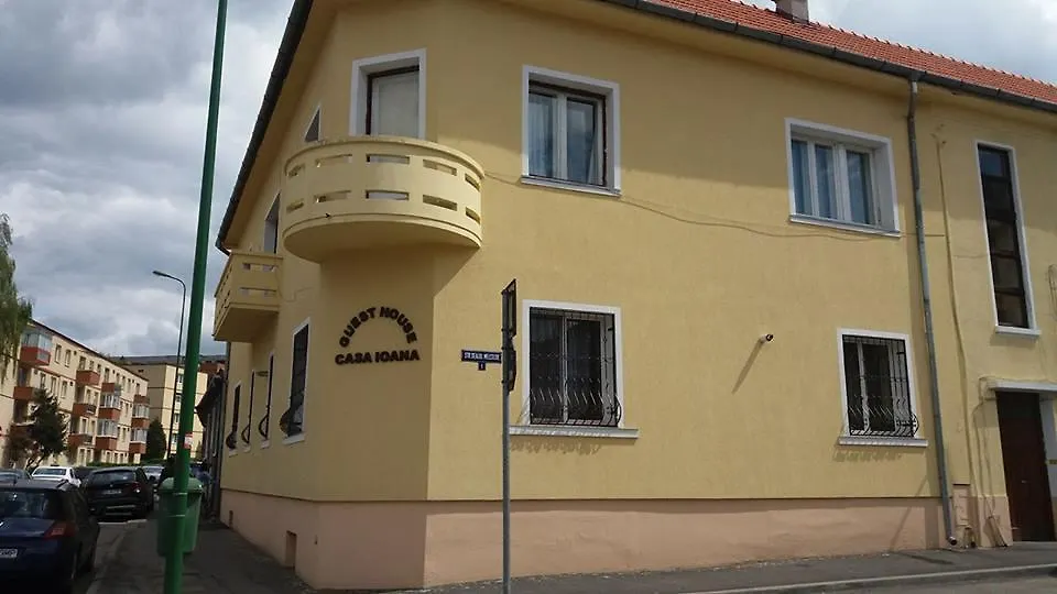 Villa Casa Ioana-1
