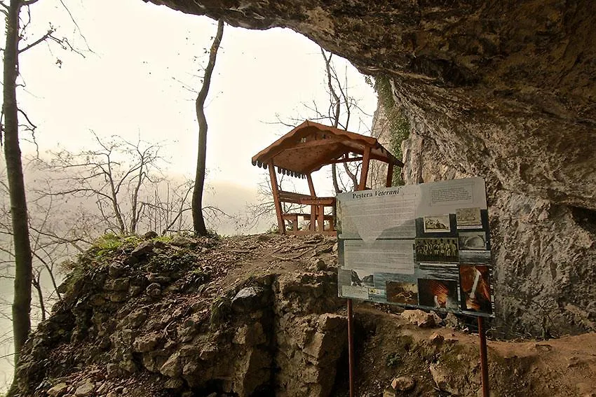 Cabana Plapumioara-1