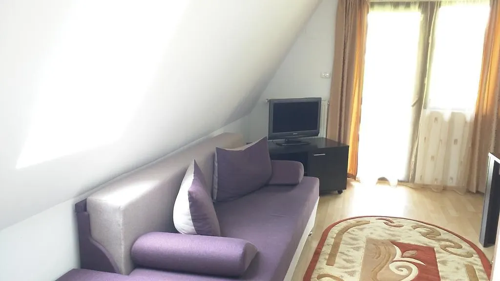Hotel Silvia Apart Sinaia-1
