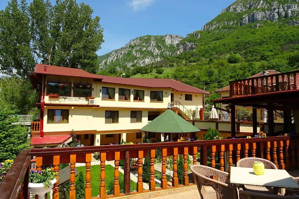 Pension Cuibul Viselor-1