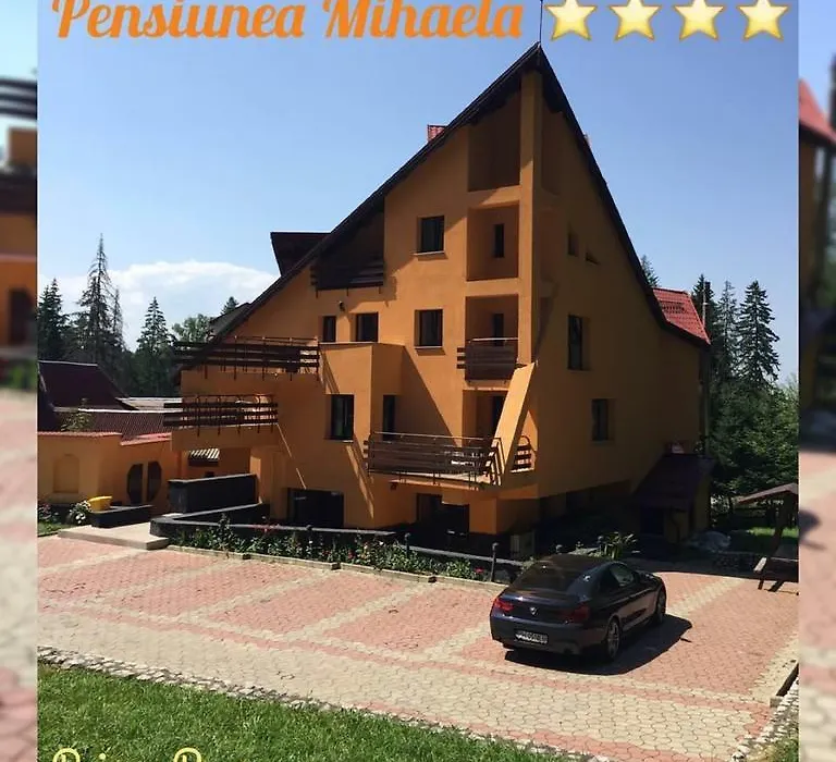Pensiunea Mihaela-1