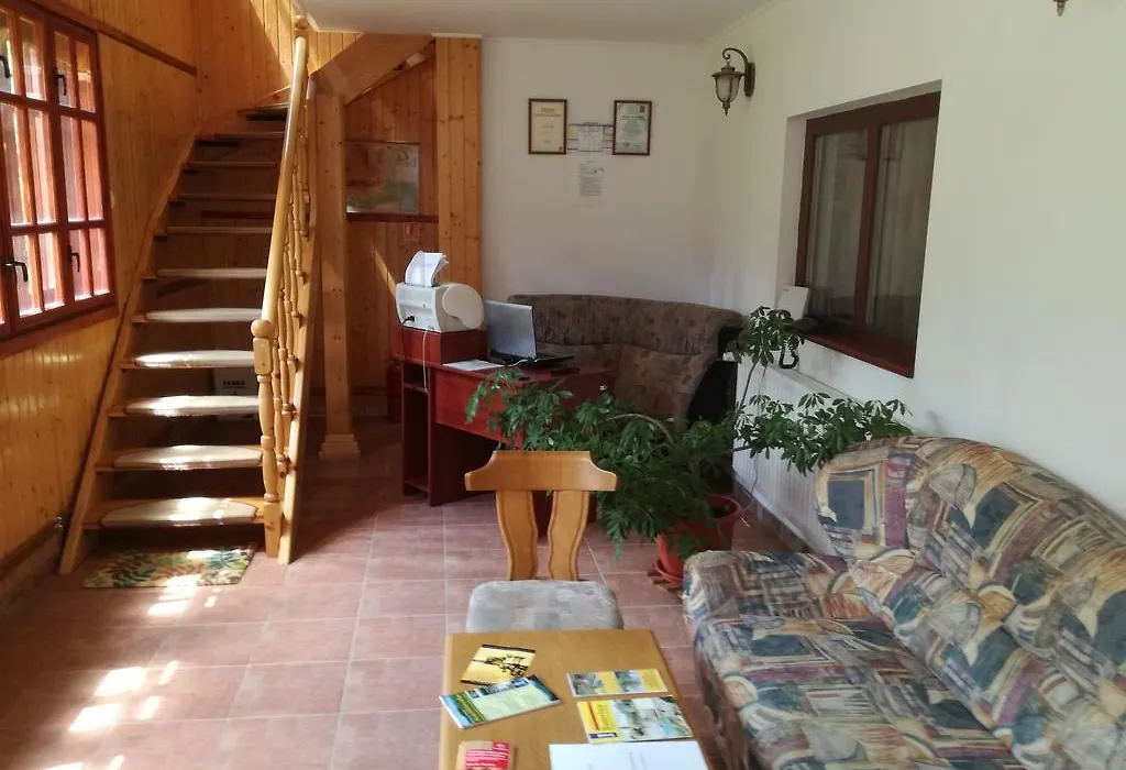 Pensiunea Flori de Camp-1