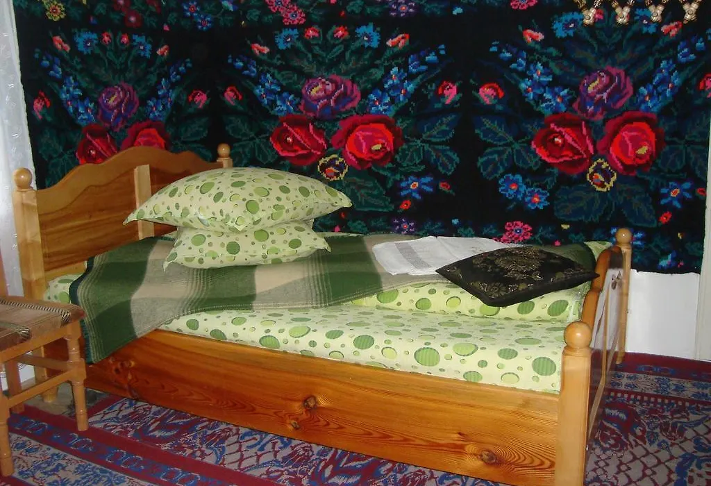 Pensiunea Casa Rodica-1
