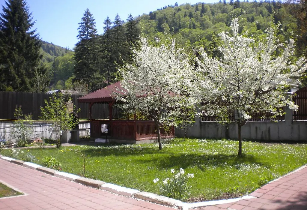 Vila Foisor-1